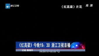 珠江新闻怎么爆料,揭秘爆料流程，助力真相发声  第3张