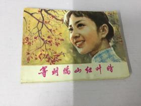 红叶电影在线观看 第2张 红叶电影在线观看 第2张